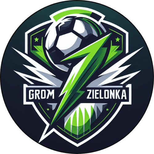 Projekt bez nazwy (17).png